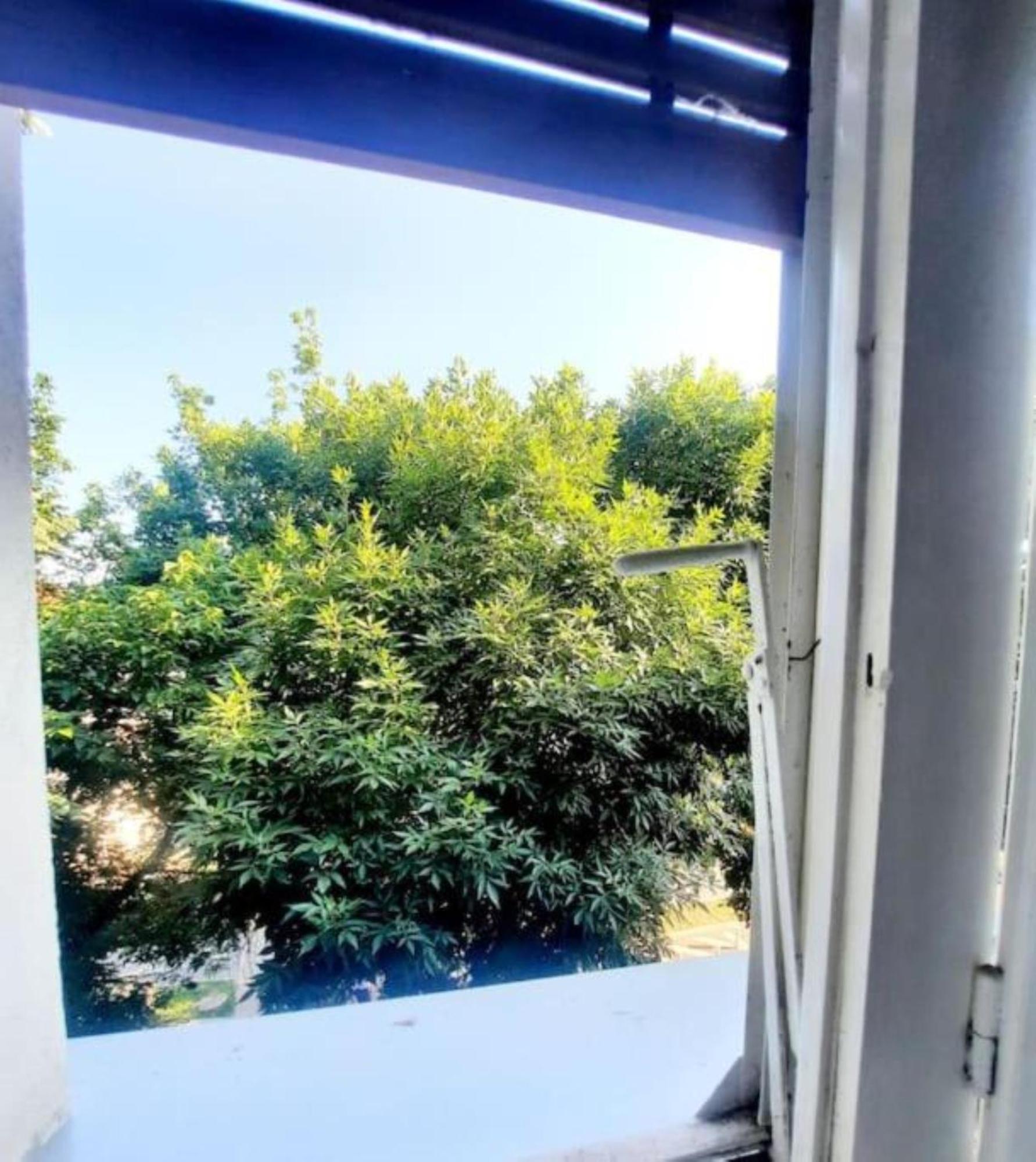 One Bedroom By The Park Old Town Belle Vue Timisoara Exterior photo